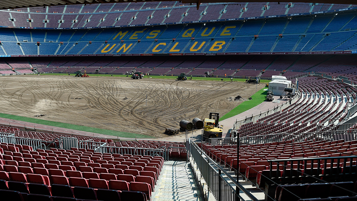 El césped del Camp Nou estará de gala en el Gamper - FC Barcelona Noticias