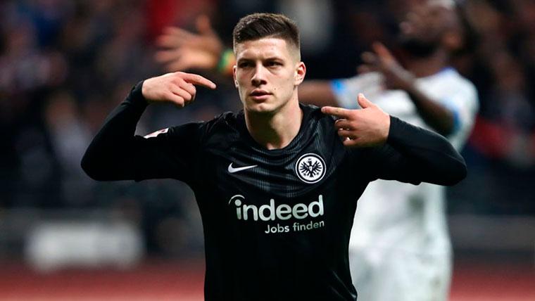 REAL MADRID - Página 13 Luka-jovic-eintracht-frankfurt-280505